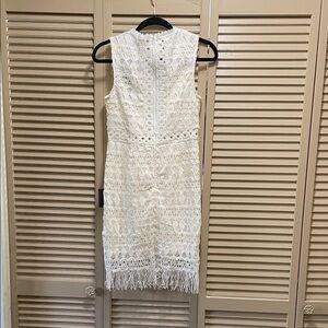 Lulu's White Lace Fringe Mini Dress